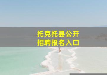 托克托县公开招聘报名入口