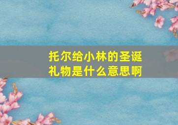 托尔给小林的圣诞礼物是什么意思啊