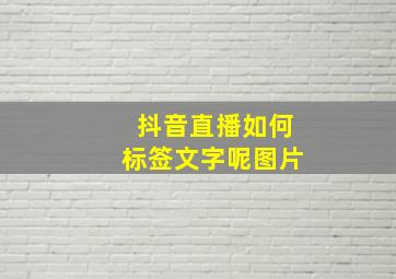 抖音直播如何标签文字呢图片