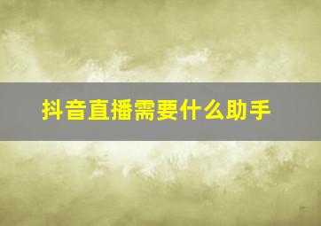 抖音直播需要什么助手