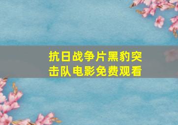 抗日战争片黑豹突击队电影免费观看