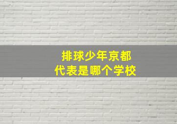 排球少年京都代表是哪个学校