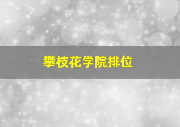 攀枝花学院排位