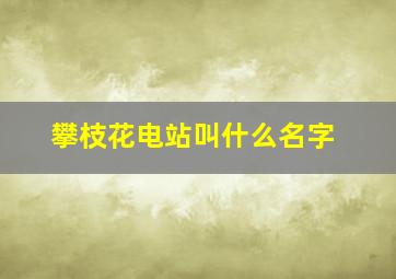 攀枝花电站叫什么名字