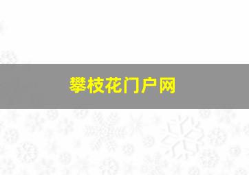 攀枝花门户网