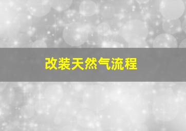 改装天然气流程