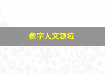 数字人文领域