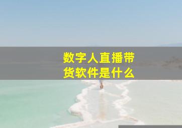 数字人直播带货软件是什么