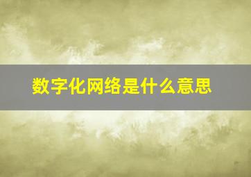 数字化网络是什么意思