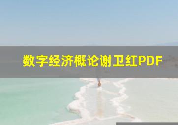 数字经济概论谢卫红PDF