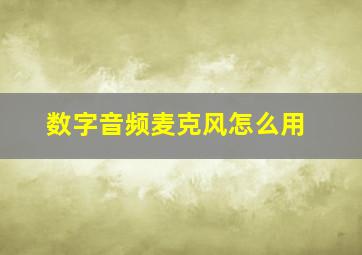 数字音频麦克风怎么用