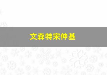 文森特宋仲基