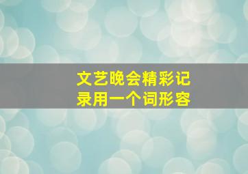 文艺晚会精彩记录用一个词形容