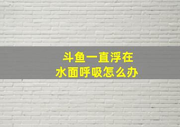 斗鱼一直浮在水面呼吸怎么办