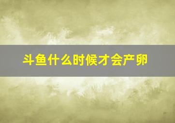 斗鱼什么时候才会产卵