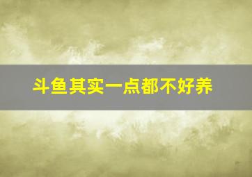 斗鱼其实一点都不好养