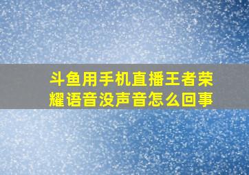 斗鱼用手机直播王者荣耀语音没声音怎么回事