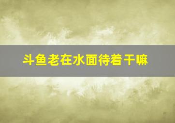 斗鱼老在水面待着干嘛