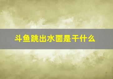 斗鱼跳出水面是干什么