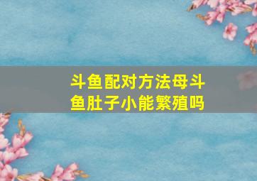 斗鱼配对方法母斗鱼肚子小能繁殖吗