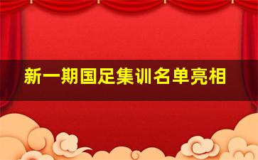 新一期国足集训名单亮相