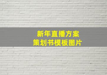 新年直播方案策划书模板图片