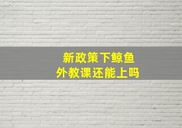 新政策下鲸鱼外教课还能上吗