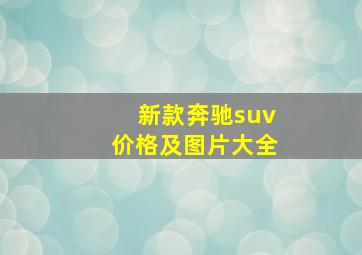 新款奔驰suv价格及图片大全