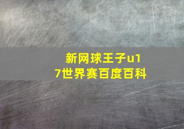 新网球王子u17世界赛百度百科