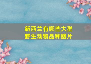 新西兰有哪些大型野生动物品种图片