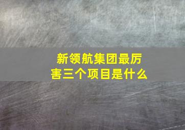 新领航集团最厉害三个项目是什么