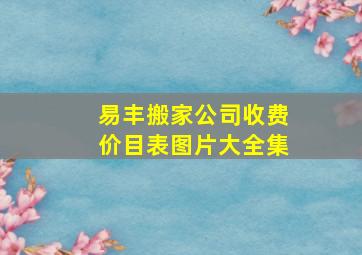 易丰搬家公司收费价目表图片大全集