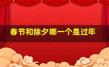 春节和除夕哪一个是过年