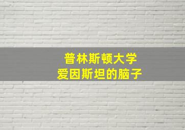 普林斯顿大学爱因斯坦的脑子