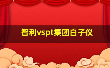 智利vspt集团白子仪