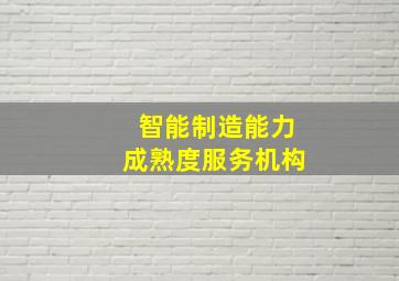 智能制造能力成熟度服务机构