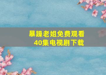 暴躁老姐免费观看40集电视剧下载