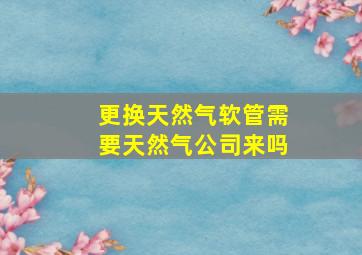 更换天然气软管需要天然气公司来吗