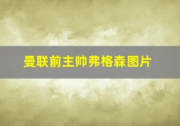 曼联前主帅弗格森图片