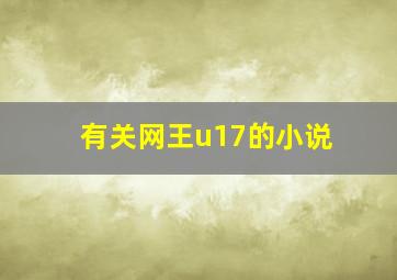 有关网王u17的小说