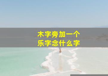 木字旁加一个乐字念什么字