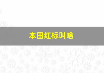 本田红标叫啥