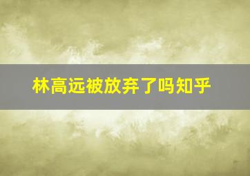 林高远被放弃了吗知乎