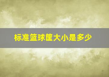 标准篮球筐大小是多少