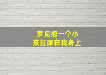 梦见抱一个小孩拉屎在我身上