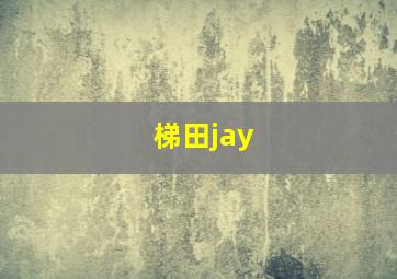 梯田jay