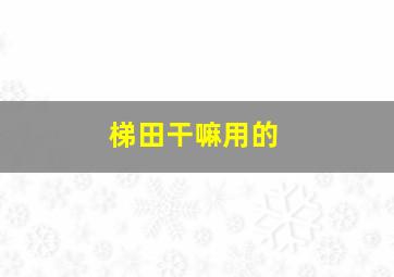 梯田干嘛用的