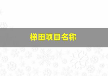 梯田项目名称