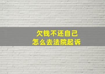 欠钱不还自己怎么去法院起诉