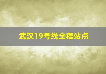 武汉19号线全程站点